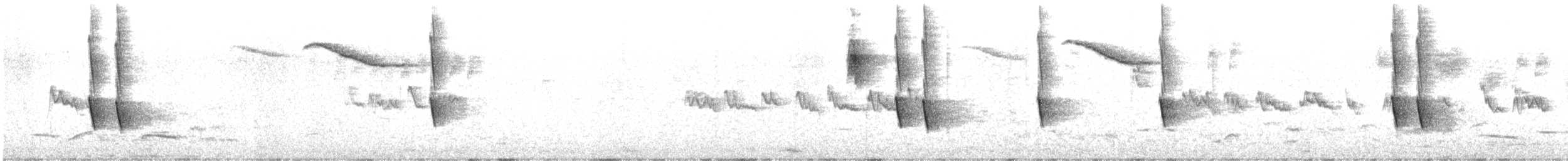 New Holland Honeyeater - ML644889017