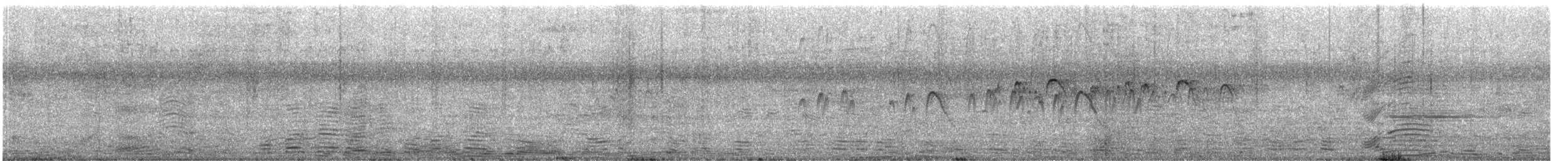 Martinet batassia - ML644889203