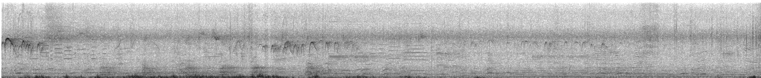 Martinet batassia - ML644889204