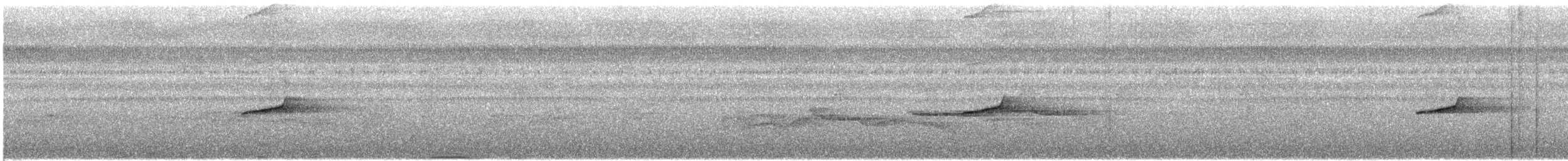 Malayan Black-capped Babbler - ML644889283