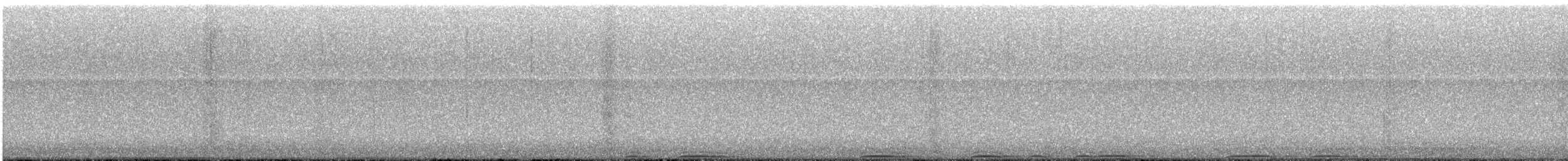 Virginiauhu - ML644889289