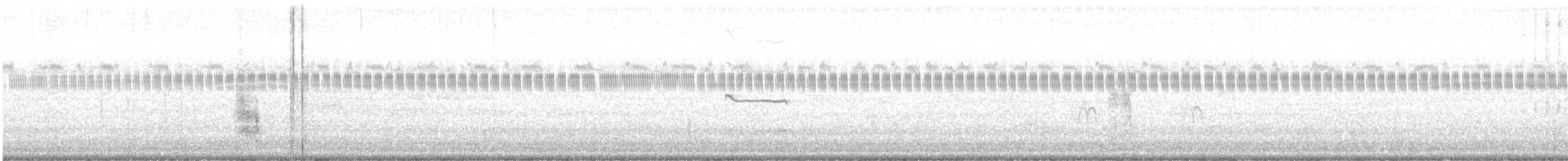 חרטומית אמריקנית - ML644890624