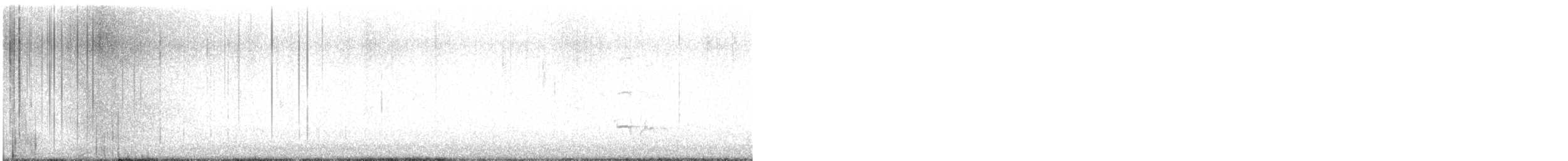 Flötenregenpfeifer - ML644890655