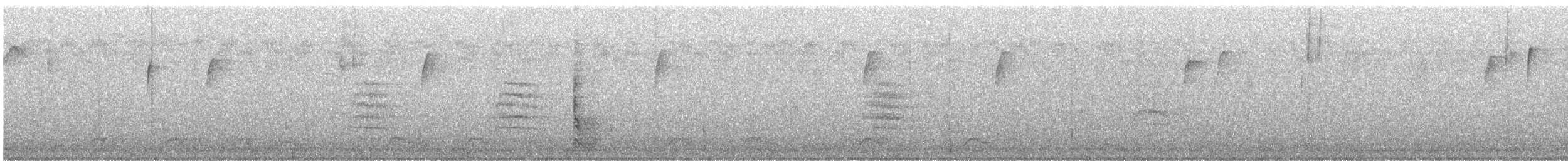 Carpintero de Carolina - ML644891149