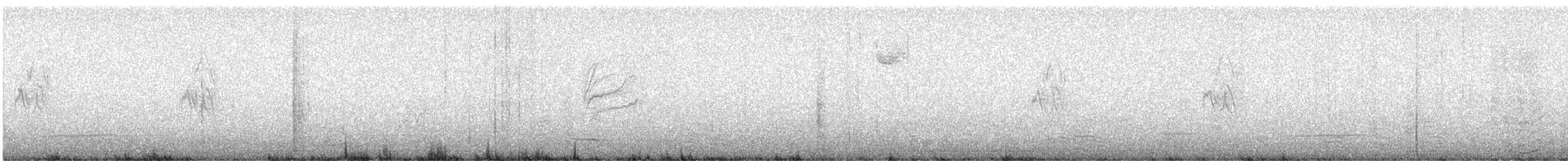 Pine Siskin (Northern) - ML644892234