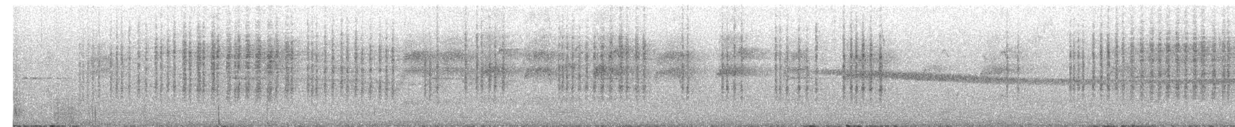 Spotted Scrubwren - ML644892446