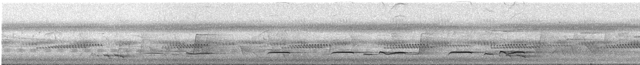 Sahul Brush Cuckoo - ML644893058