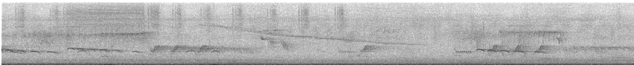 Little Bronze-Cuckoo - ML644893385