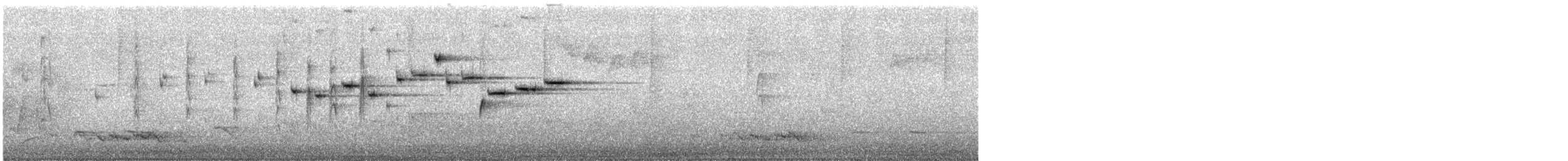 Gray Fantail - ML644893600