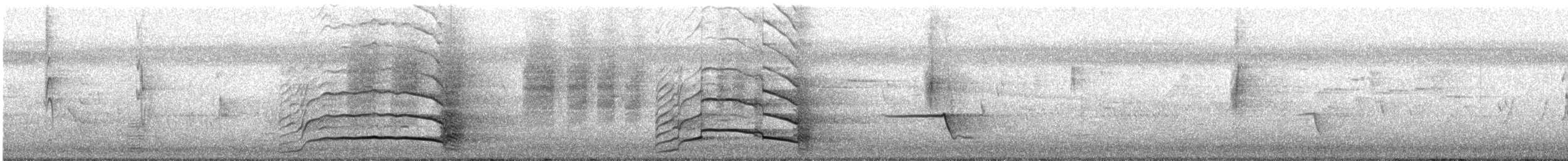 Yellow-tailed Black-Cockatoo - ML644893774