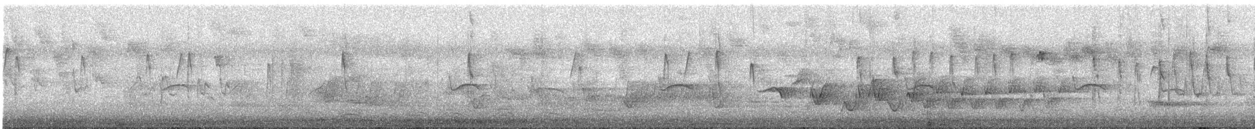 Varied Sittella (White-headed) - ML644893874