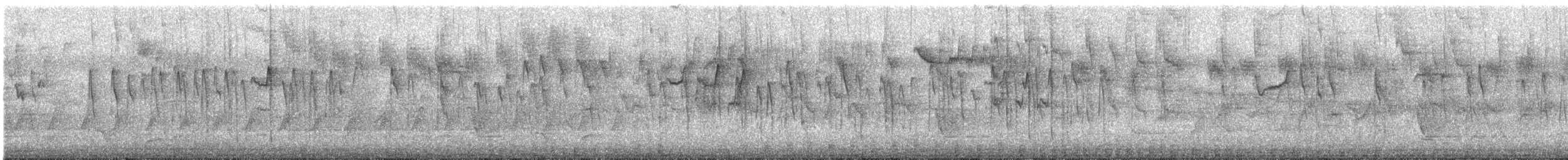 Varied Sittella (White-headed) - ML644893923