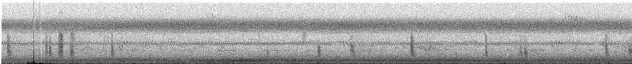 Dollarbird - ML644893982