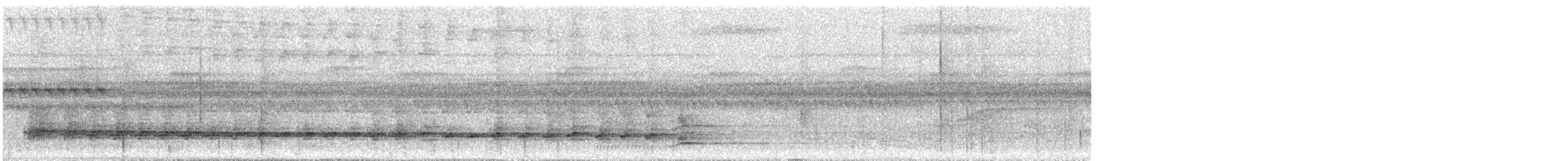 Black-faced Antthrush - ML644894377