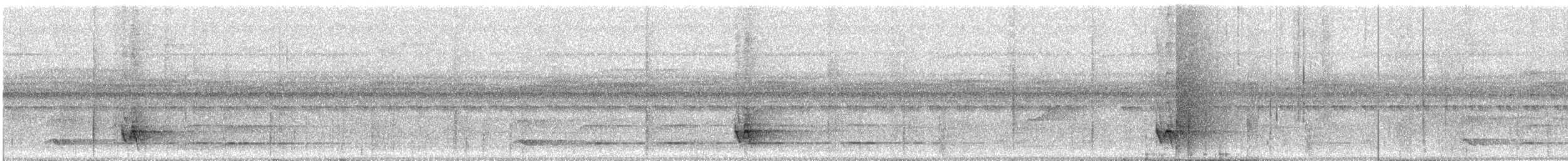 Black-faced Antthrush - ML644894378