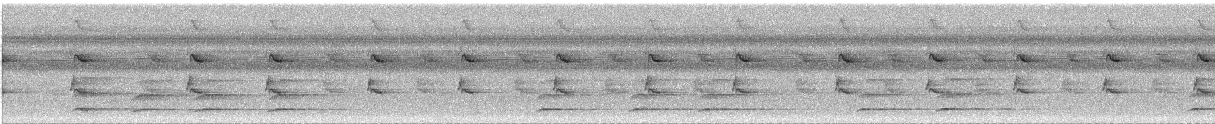 Great-billed Hermit - ML644894668