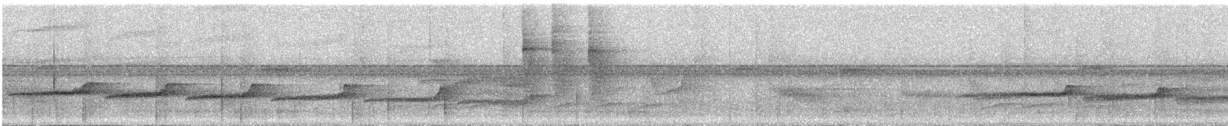 White-throated Antbird - ML644894708