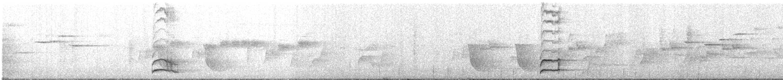 Rufous Scrub-bird - ML644894732