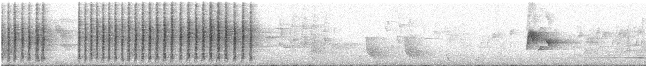 Rufous Scrub-bird - ML644894733