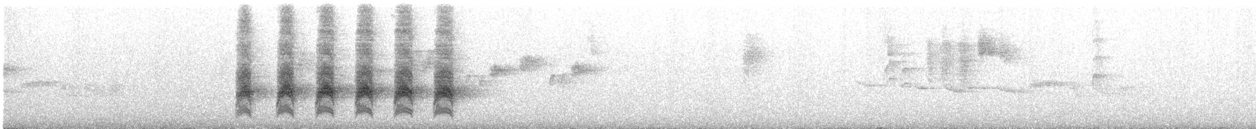 Rufous Scrub-bird - ML644894736