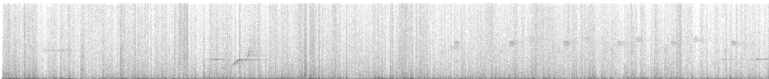 Rufous Scrub-bird - ML644894738