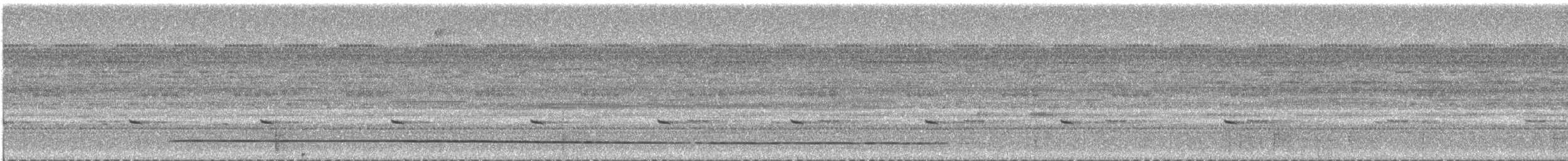 White-winged Potoo - ML644894739