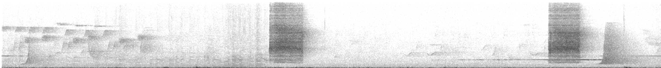 Rufous Scrub-bird - ML644894742