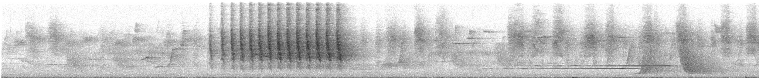 Rufous Scrub-bird - ML644894743