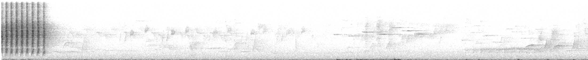 Rufous Scrub-bird - ML644894744