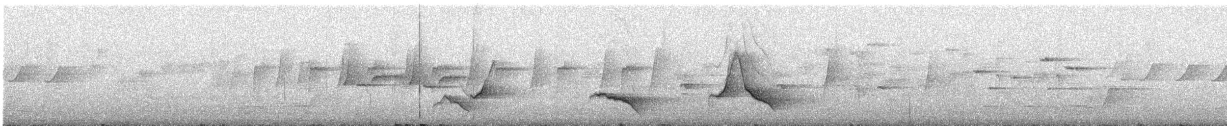 Black-faced Monarch - ML644894763