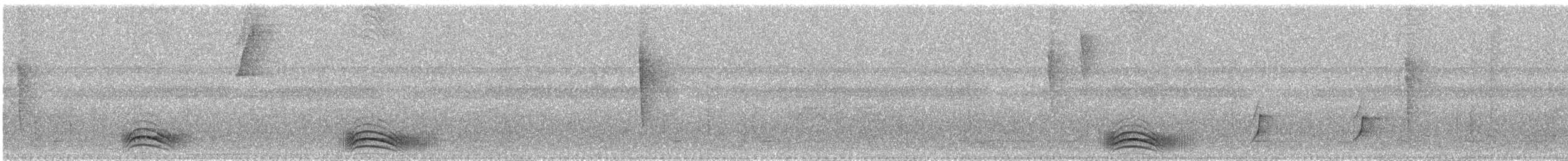 Acre Antshrike - ML644896282