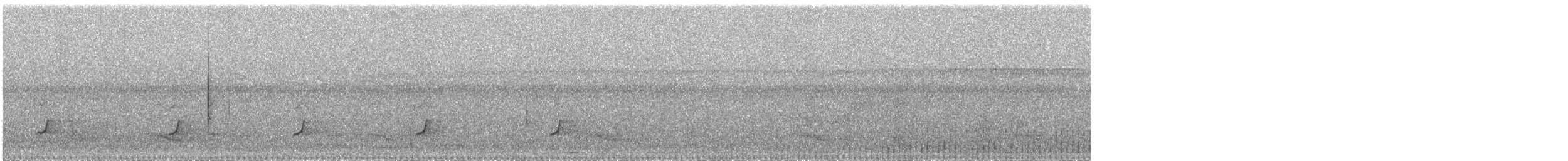 Slender-footed Tyrannulet - ML644896325