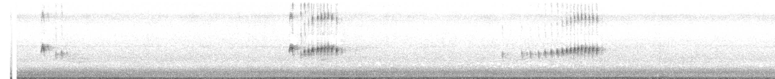 Tropical Kingbird - ML644896382