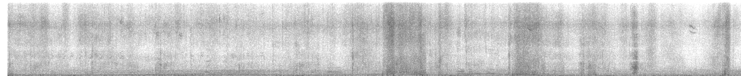 new world sparrow sp. - ML644896410