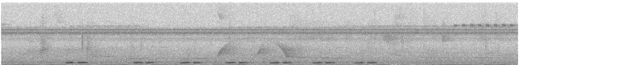 Gilded Barbet - ML644896459