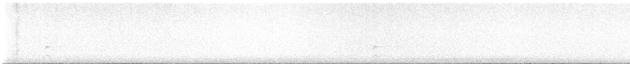 Little Owl - ML644896462