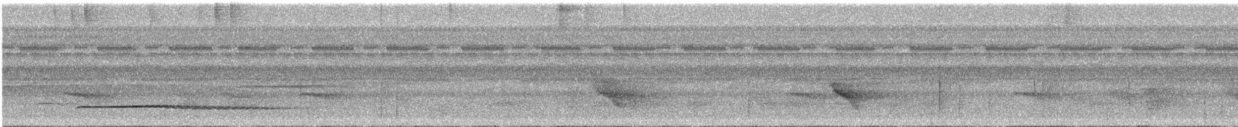 Little Tinamou - ML644896476