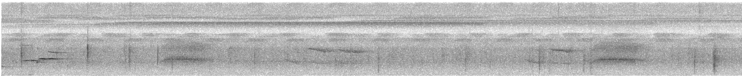 Lawrence's Thrush - ML644896781