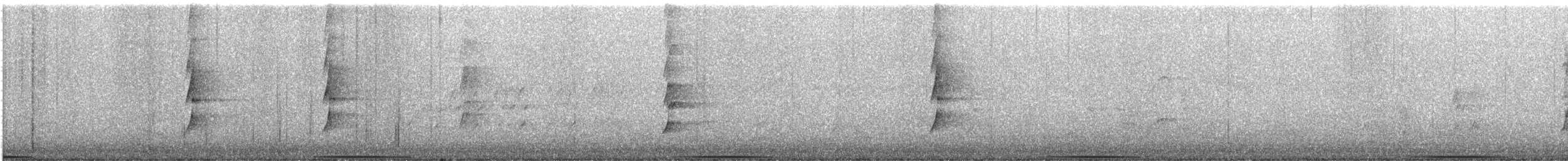 Common Bronzewing - ML644898170