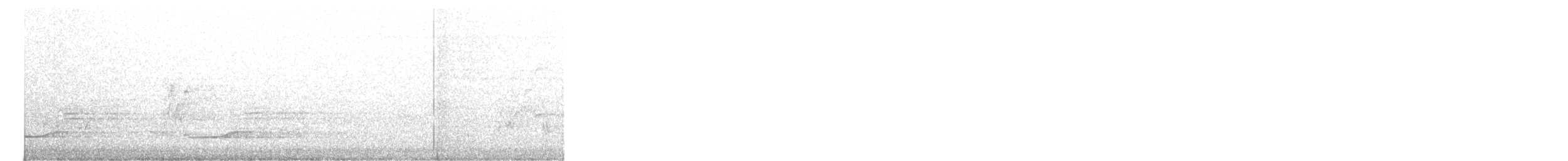 Pacific Koel (Australian) - ML644898285