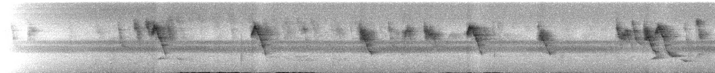 Окулярник японський - ML644899413