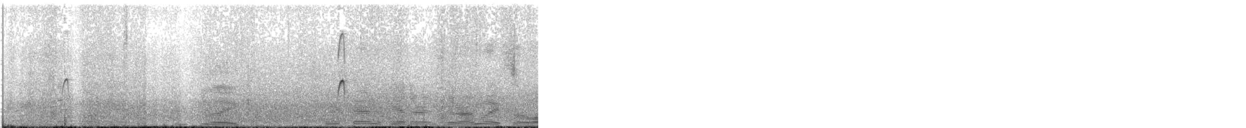 Limnodromo pettorossiccio - ML644899566