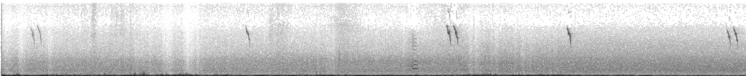 Spioncello del Pacifico - ML644899606