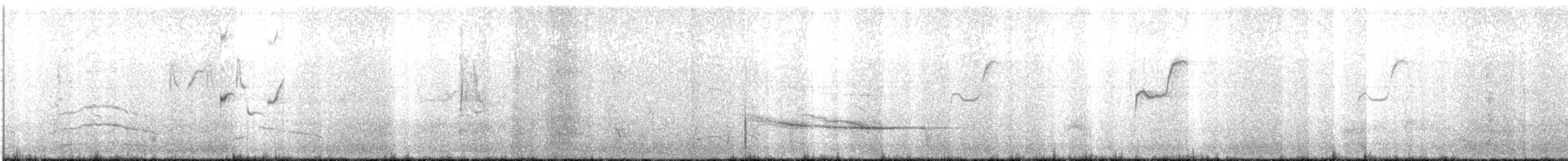 Storno - ML644899647