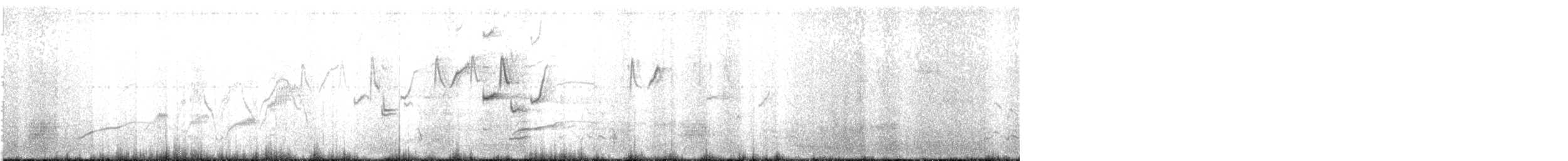 Storno - ML644899649