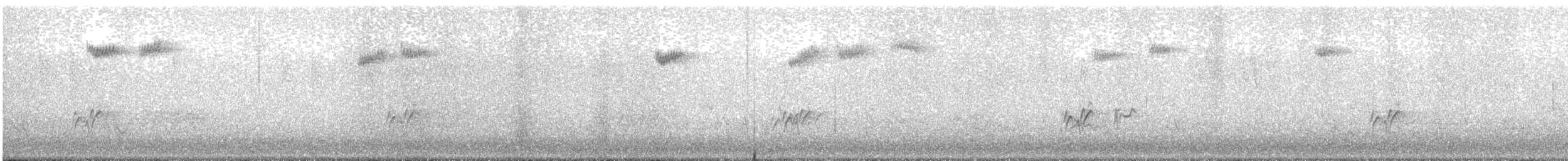 Pine Grosbeak - ML644899952