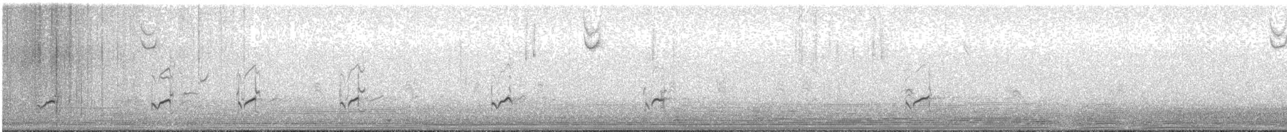 Piviere orientale - ML644900057