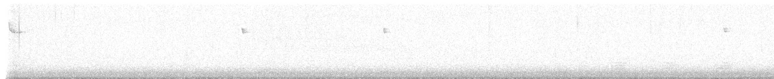 amerikatrekryper - ML644900250