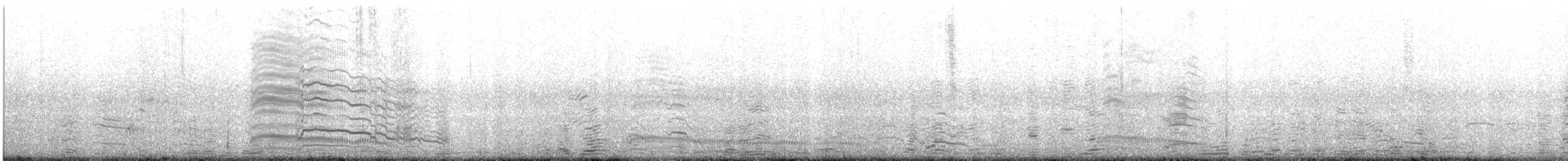 ズアオカモメ - ML644900498