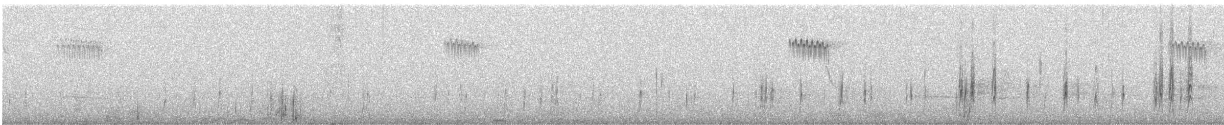 Buztanori amerikarra - ML644900636